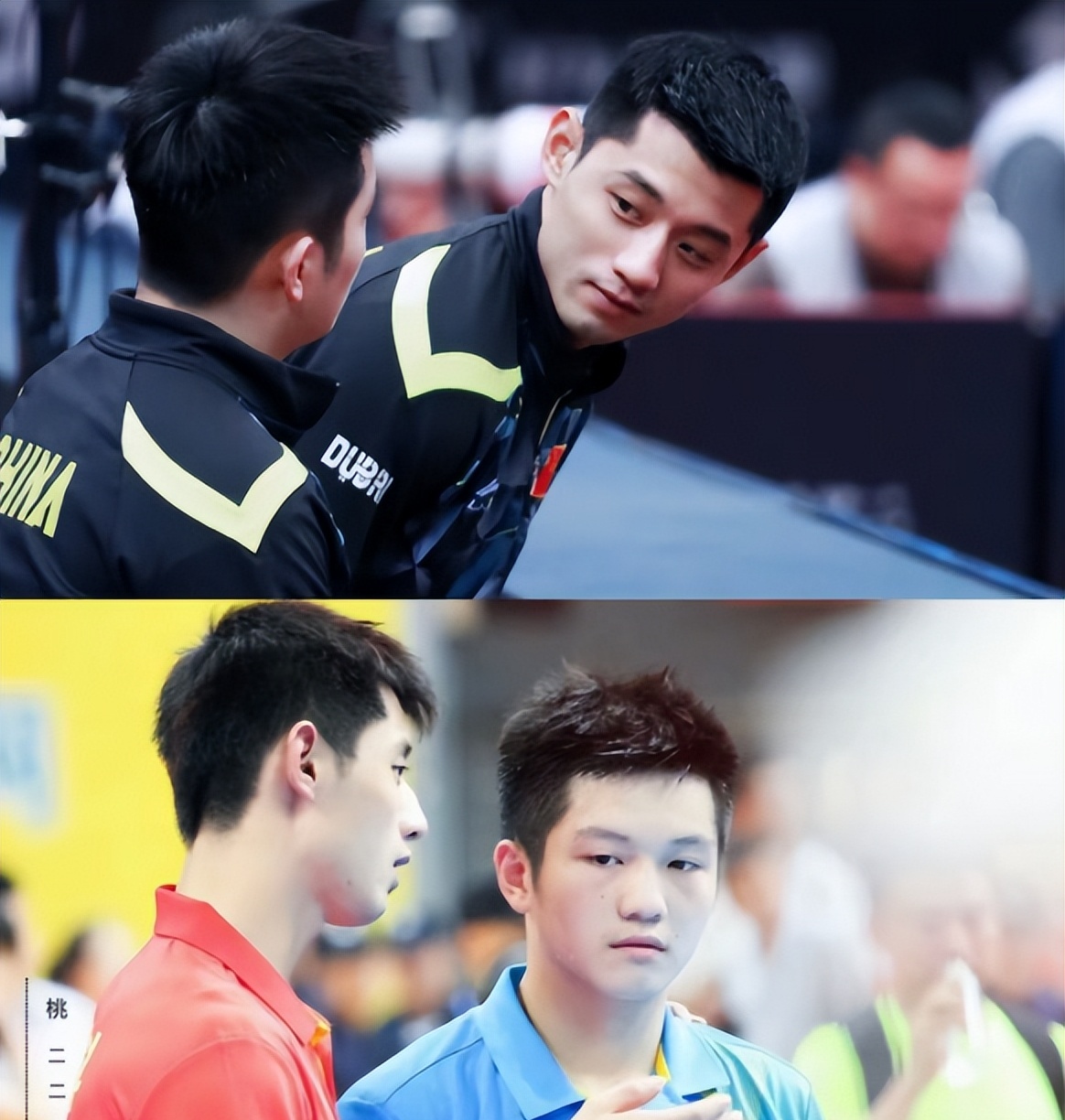 关于瑞典乒乓球队鏖战德国乒乓球队，张继科制霸全场的信息