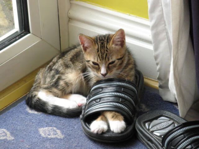 开云体育登录-从落后22分到惊天逆转!爱德华兹关键时刻的王者气质拯救76人